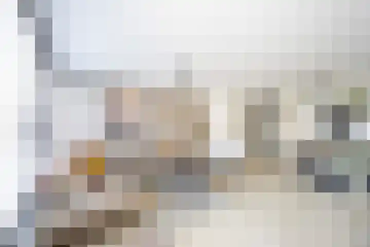 Floraronde 12 Velserbroek thumbnail 6