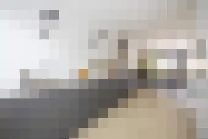 Floraronde 12 Velserbroek thumbnail 8
