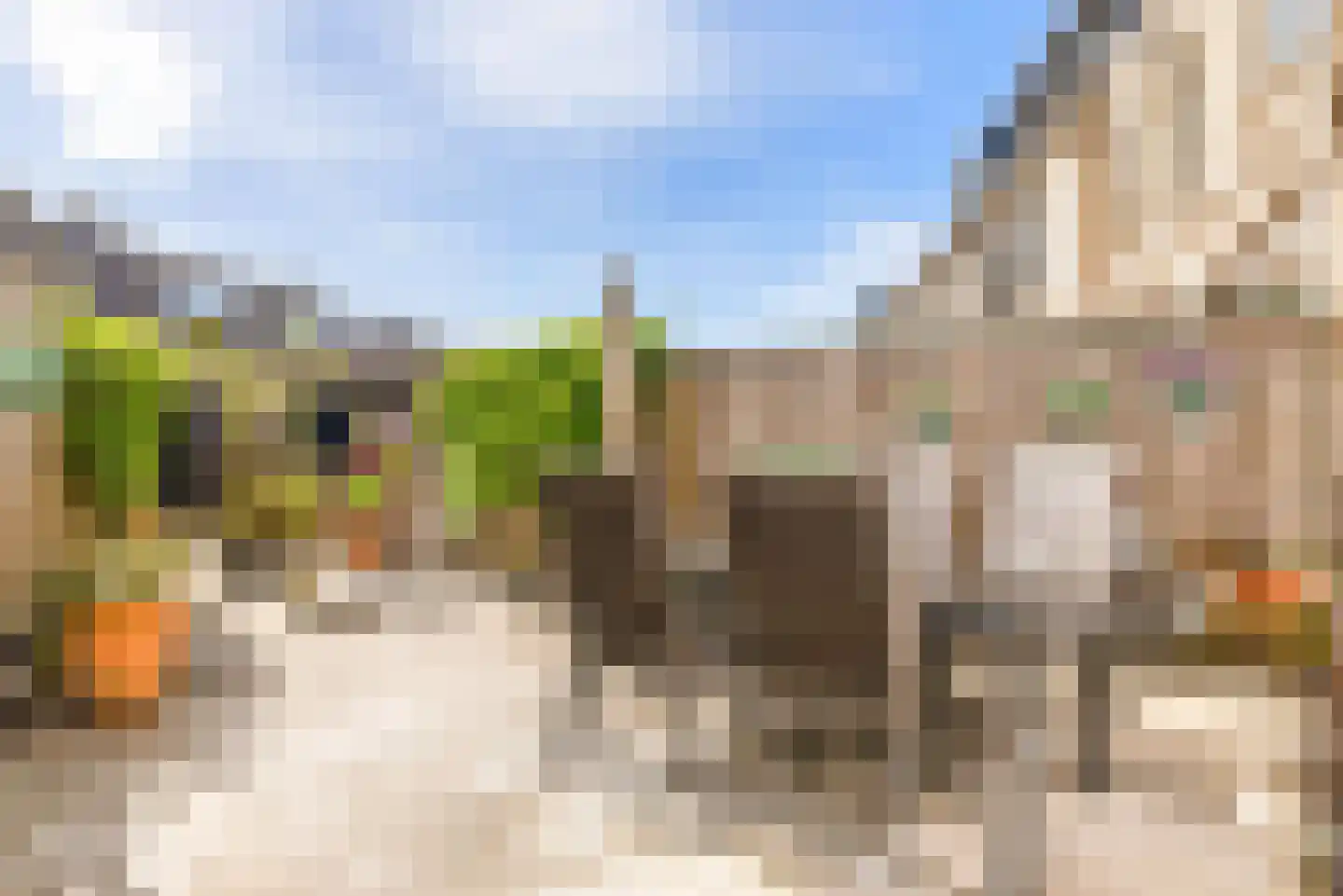 Floraronde 13 Velserbroek thumbnail 27