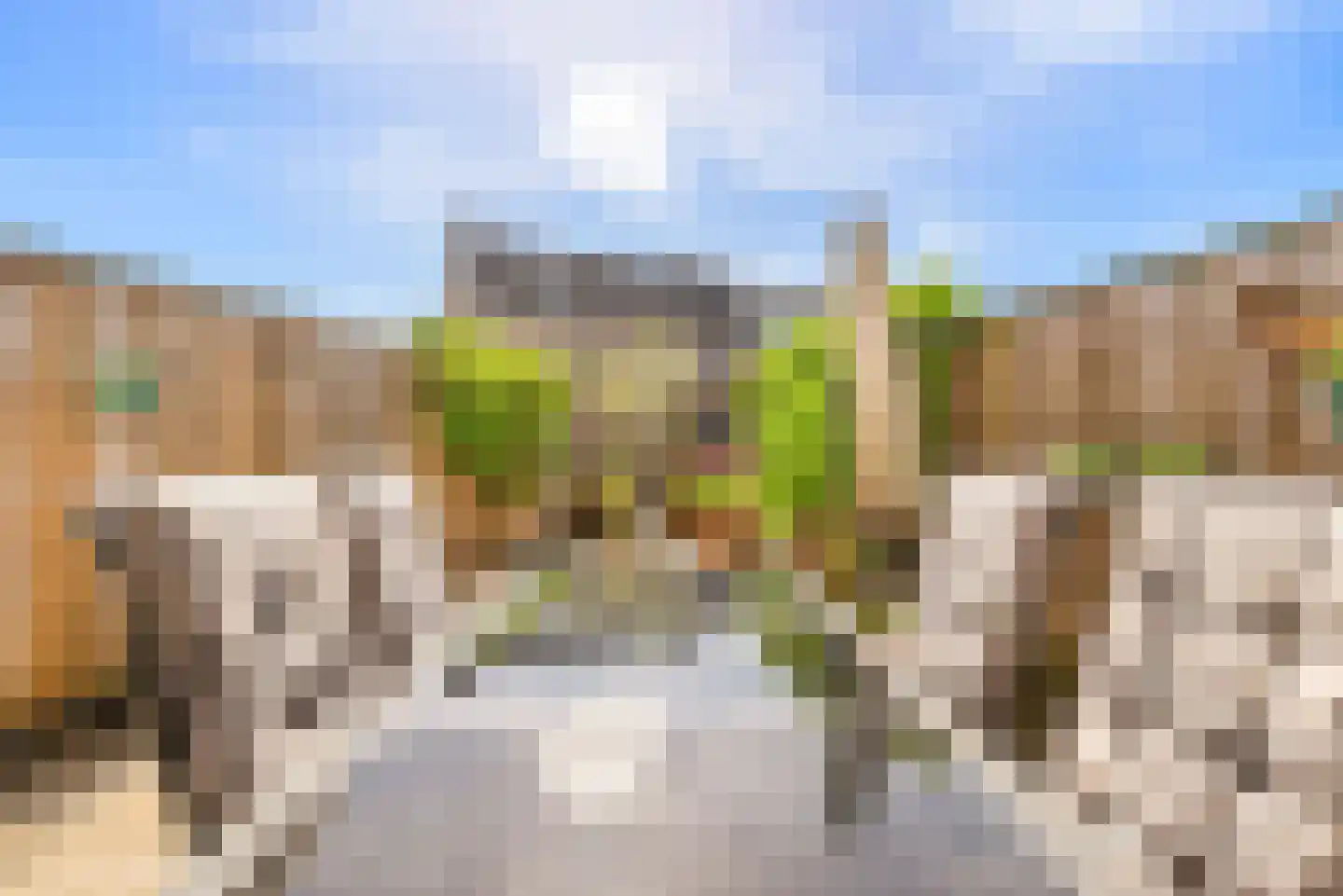 Floraronde 13 Velserbroek thumbnail 28
