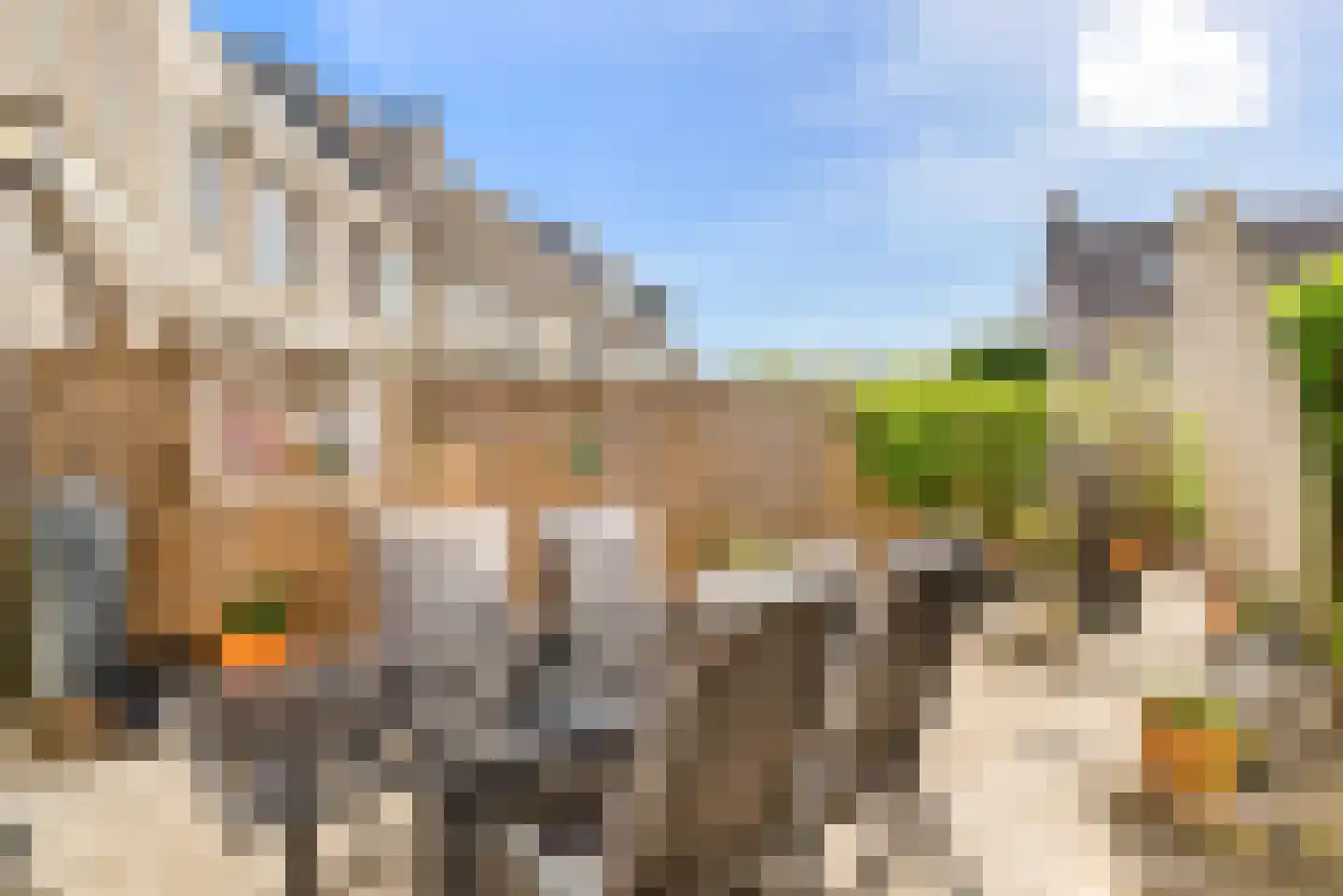 Floraronde 13 Velserbroek thumbnail 29