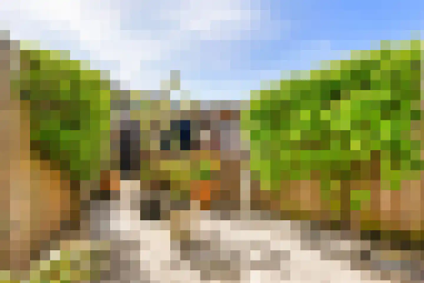 Floraronde 13 Velserbroek thumbnail 30