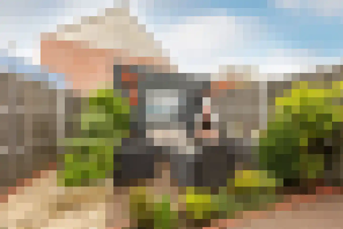 Floraronde 157 Velserbroek thumbnail 25