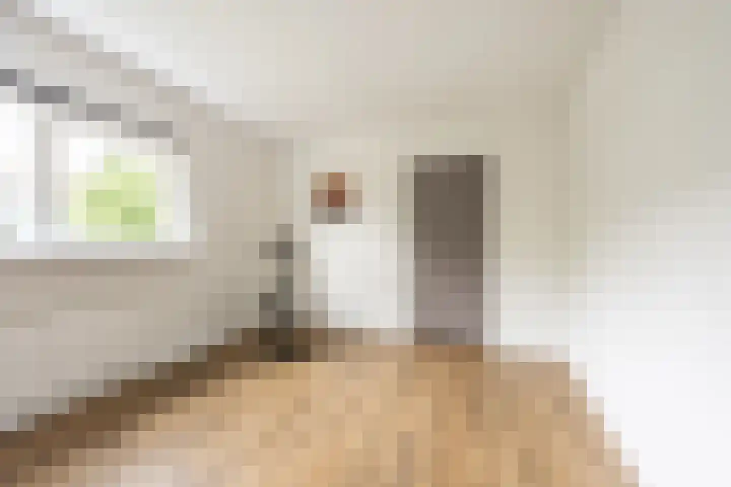 Floraronde 157 Velserbroek thumbnail 30
