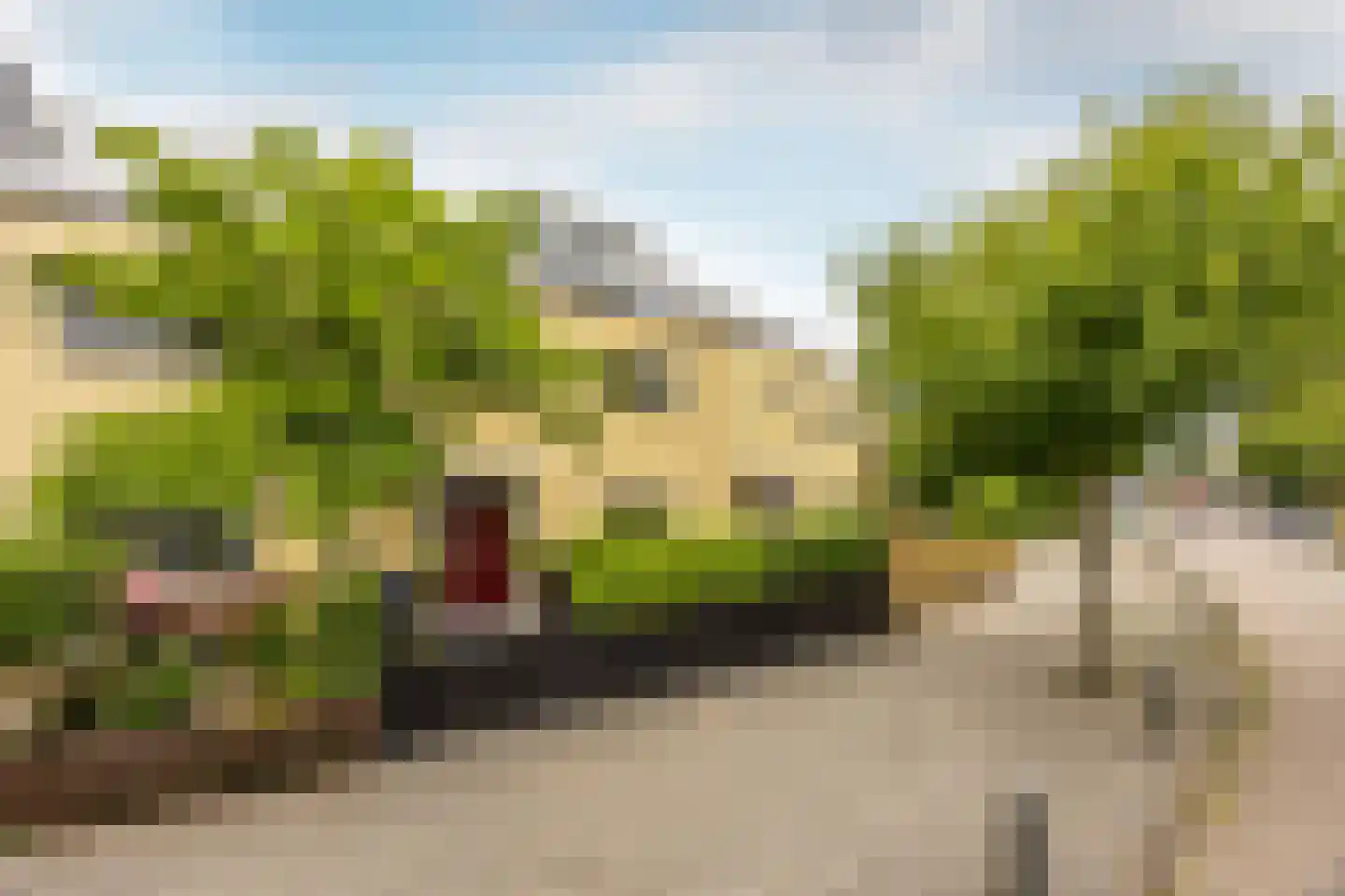 Floraronde 157 Velserbroek thumbnail 5