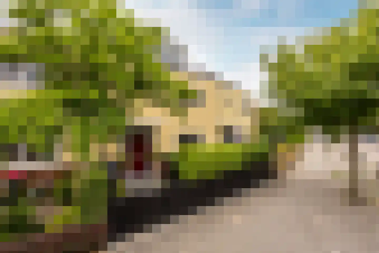 Floraronde 157 Velserbroek thumbnail 6
