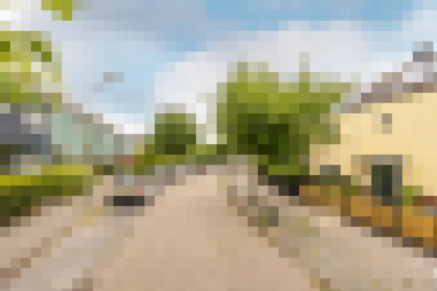 Floraronde 157 Velserbroek thumbnail 7