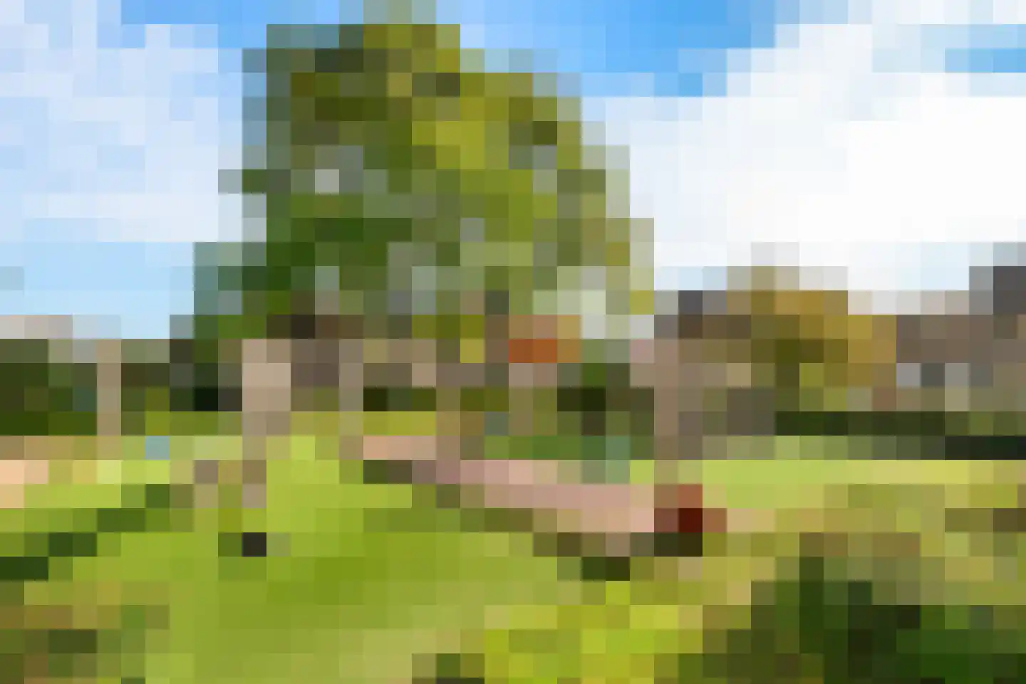 Floraronde 18 Velserbroek thumbnail 11