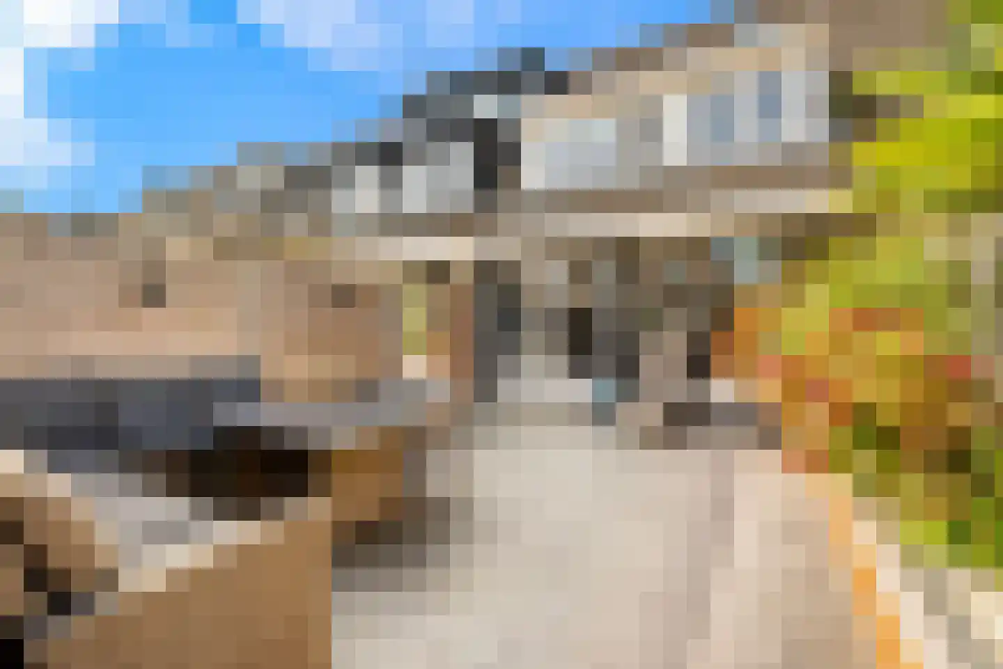 Floraronde 18 Velserbroek thumbnail 30
