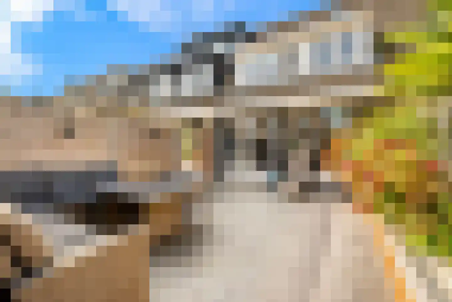 Floraronde 18 Velserbroek thumbnail 6