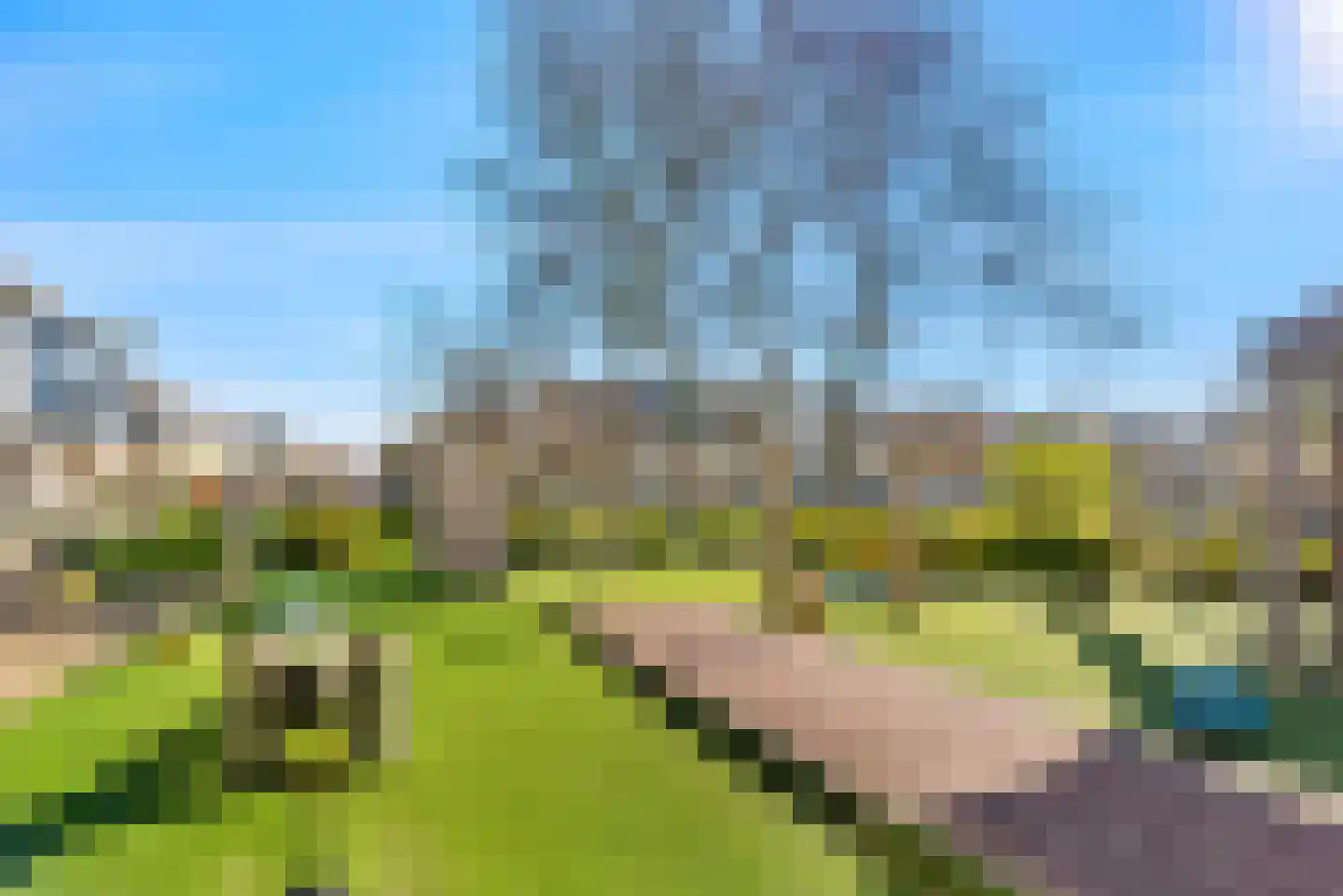 Floraronde 20 Velserbroek thumbnail 9