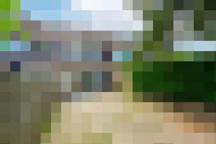 Floraronde 233 Velserbroek thumbnail 16