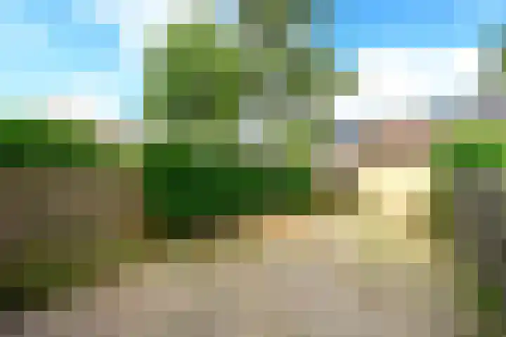 Floraronde 233 Velserbroek thumbnail 17