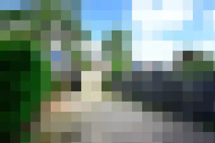 Floraronde 233 Velserbroek thumbnail 18