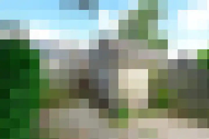 Floraronde 233 Velserbroek thumbnail 19