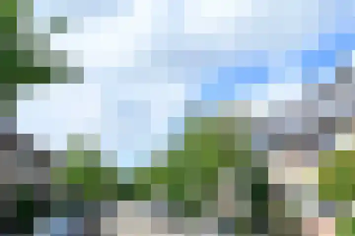 Floraronde 233 Velserbroek thumbnail 21
