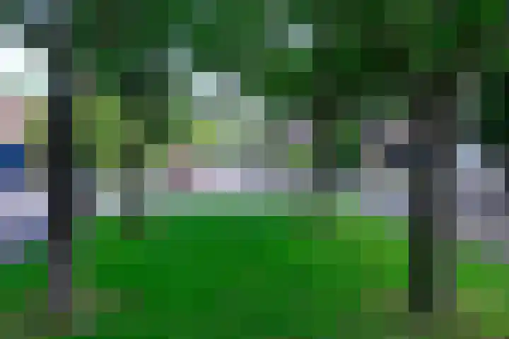 Floraronde 233 Velserbroek thumbnail 22