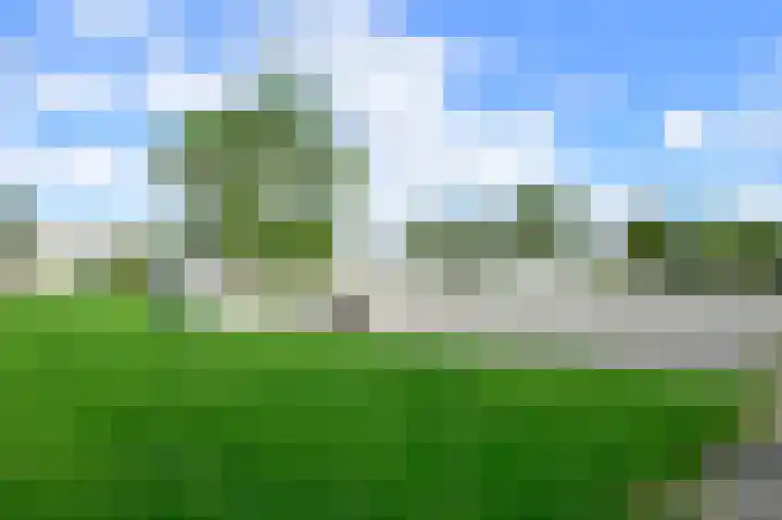 Floraronde 233 Velserbroek thumbnail 23