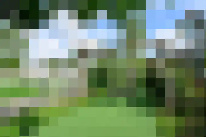 Floraronde 233 Velserbroek thumbnail 24