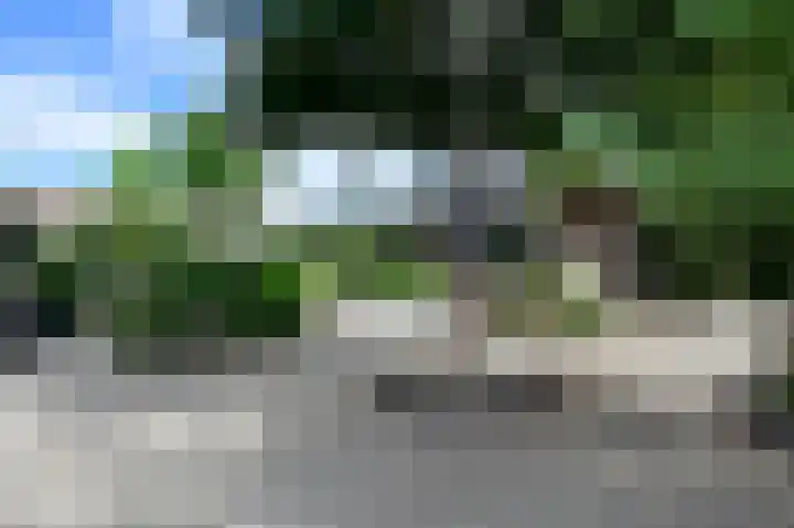 Floraronde 233 Velserbroek thumbnail 25