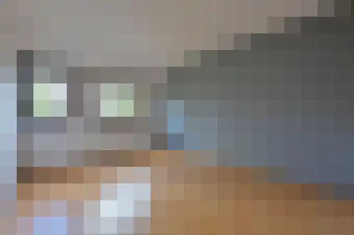 Floraronde 233 Velserbroek thumbnail 8