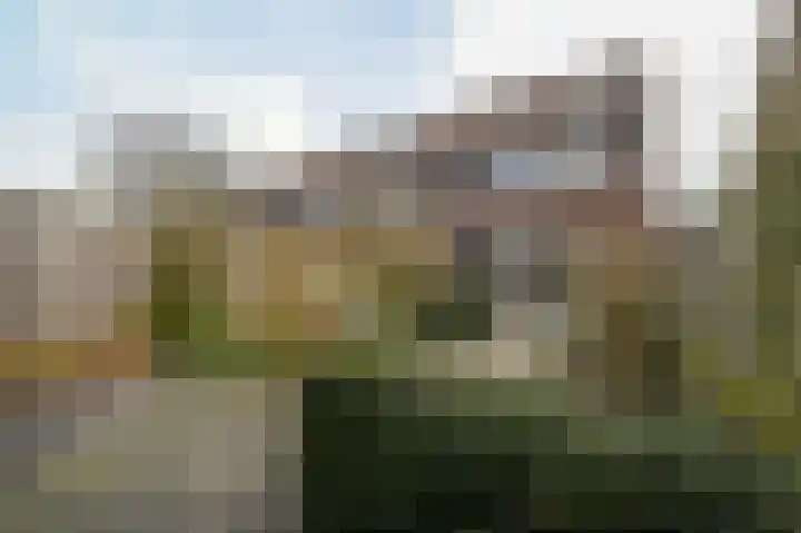 Floraronde 243 Velserbroek thumbnail 18