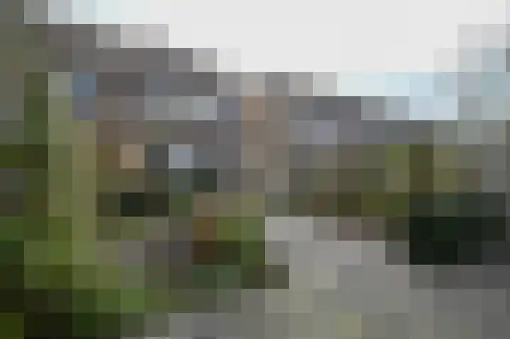 Floraronde 243 Velserbroek thumbnail 19