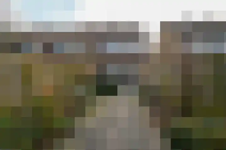 Floraronde 243 Velserbroek thumbnail 20