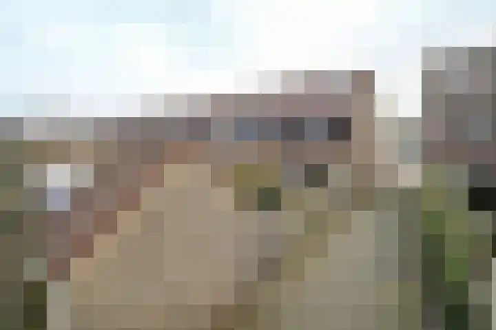 Floraronde 243 Velserbroek thumbnail 22