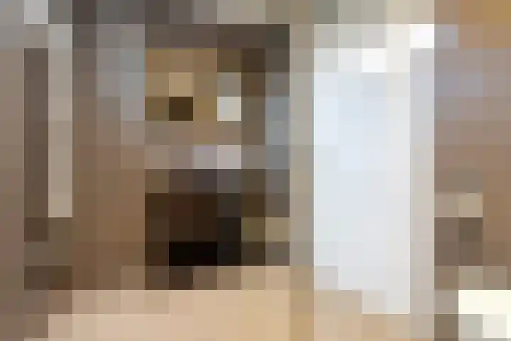 Floraronde 328 Velserbroek thumbnail 36