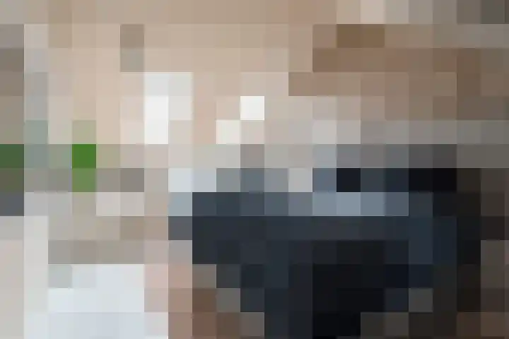 Floraronde 328 Velserbroek thumbnail 39