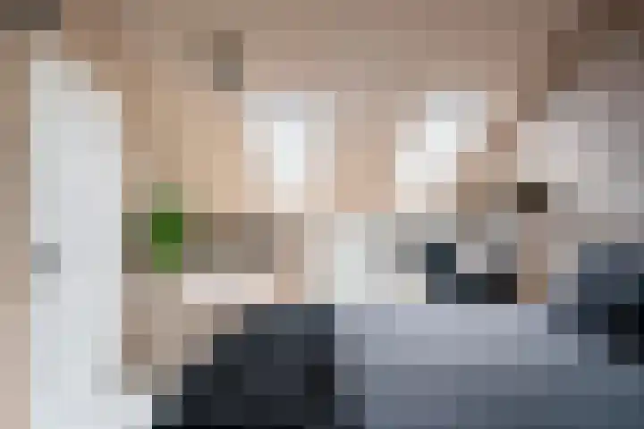 Floraronde 328 Velserbroek thumbnail 42
