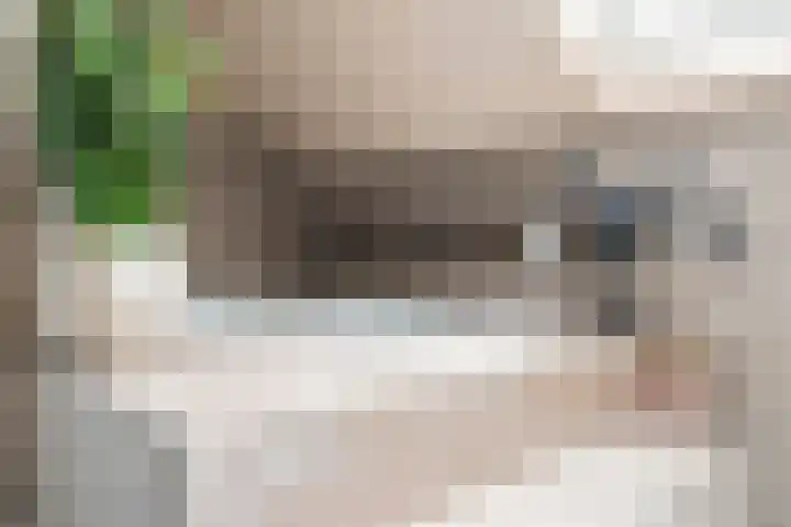 Floraronde 328 Velserbroek thumbnail 43
