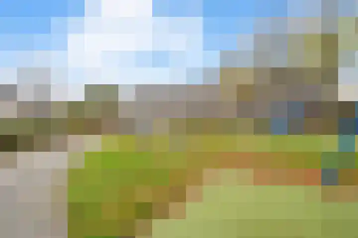 Floraronde 328 Velserbroek thumbnail 53