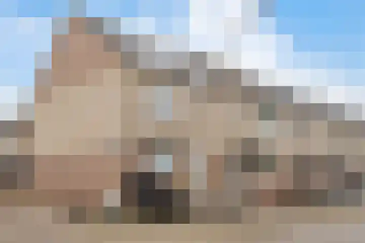 Floraronde 328 Velserbroek thumbnail 7