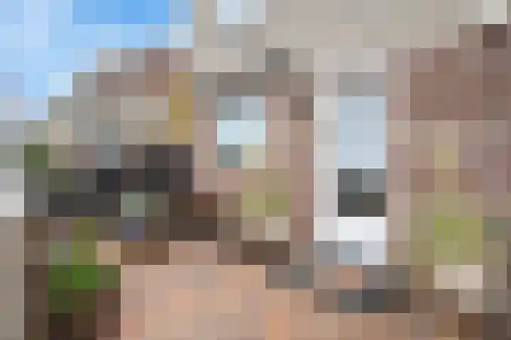 Floraronde 328 Velserbroek thumbnail 9