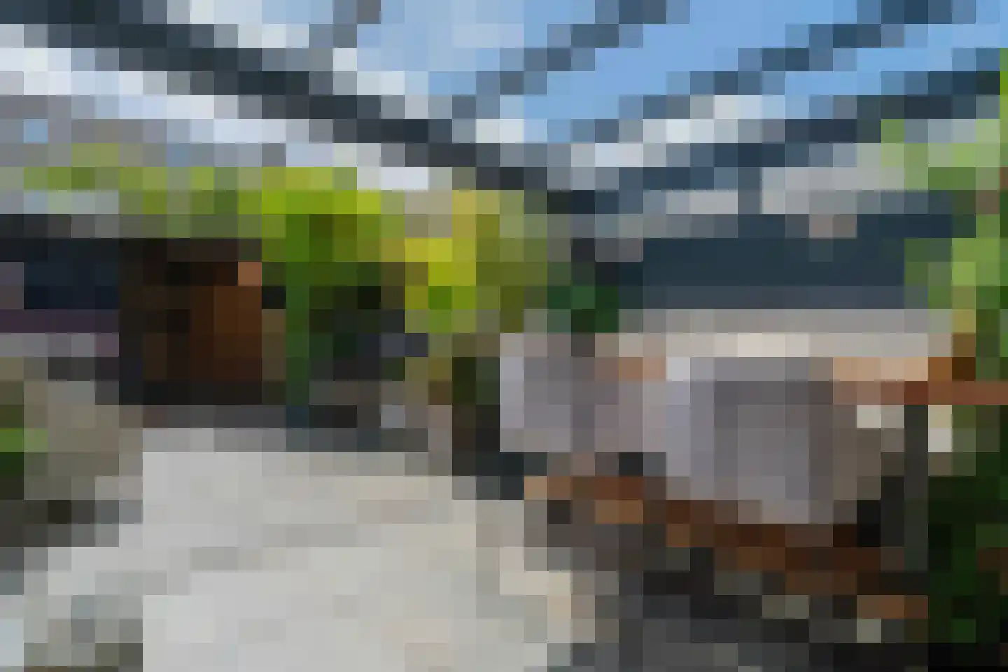 Floraronde 45 Velserbroek thumbnail 21