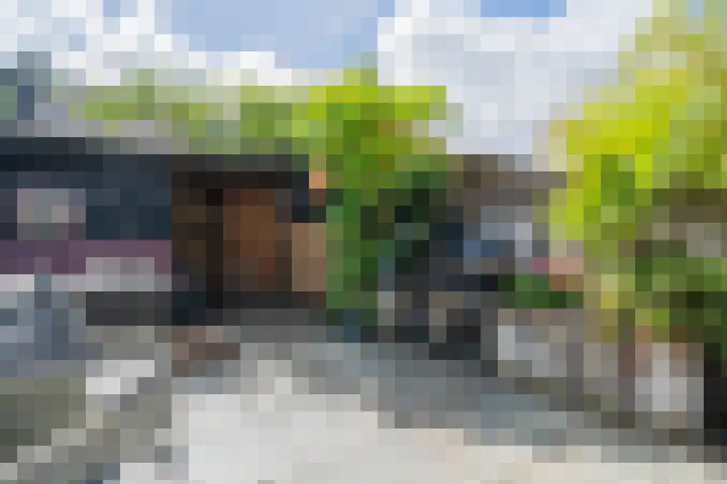 Floraronde 45 Velserbroek thumbnail 25