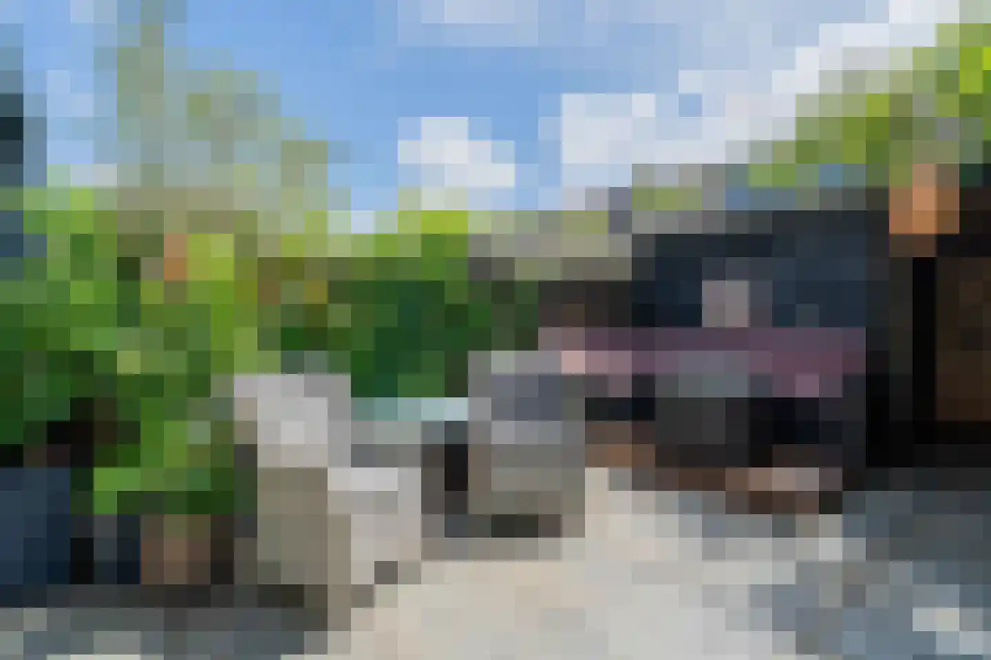 Floraronde 45 Velserbroek thumbnail 27