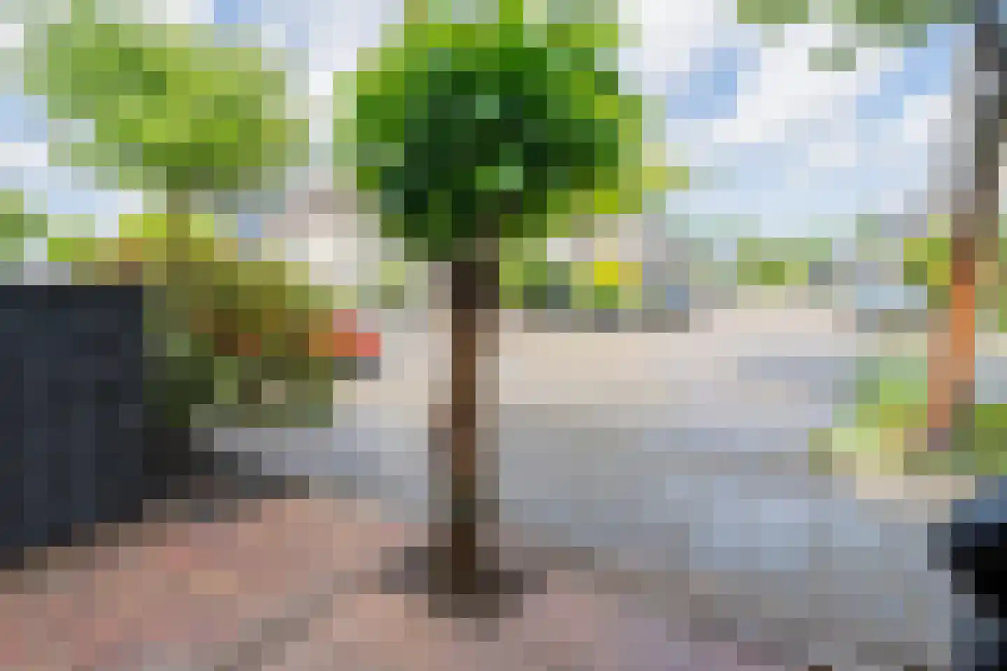 Floraronde 45 Velserbroek thumbnail 52