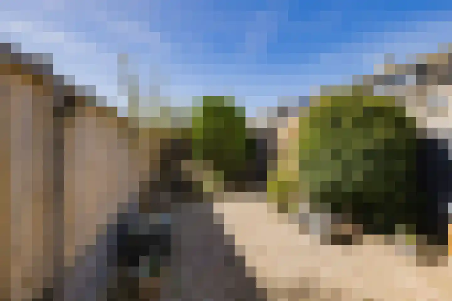 Floraronde 7 Velserbroek thumbnail 21