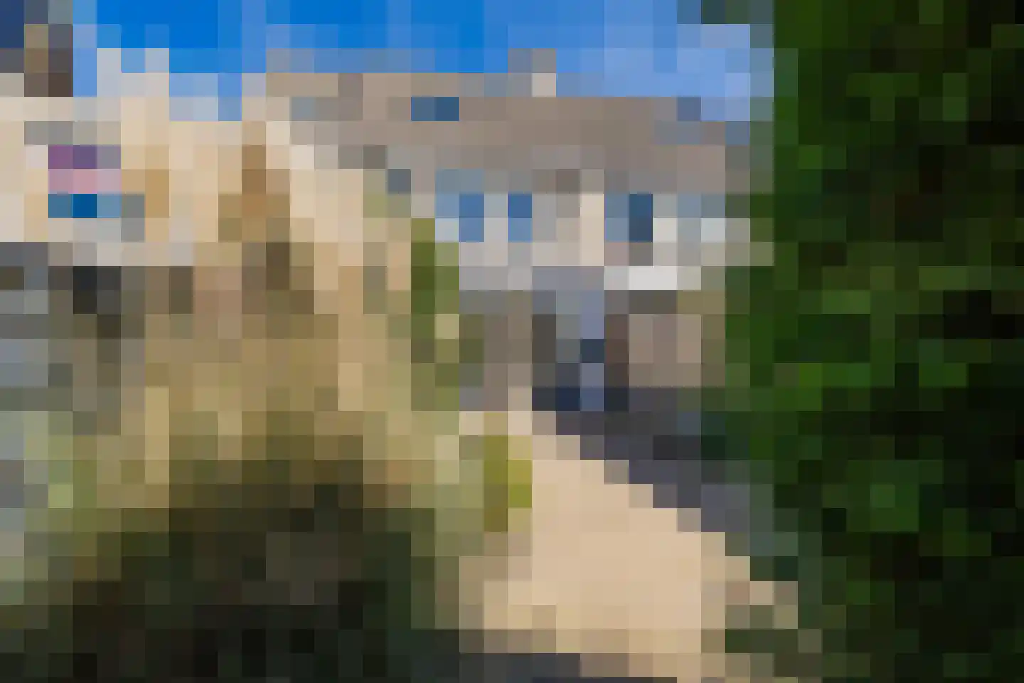 Floraronde 7 Velserbroek thumbnail 24