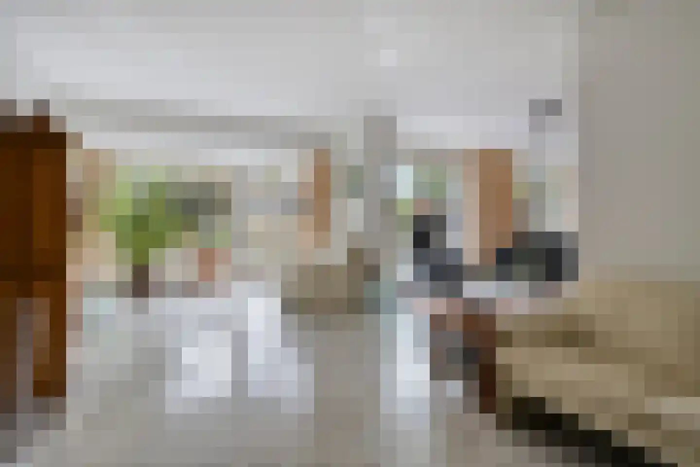 Floraronde 9 Uitgeest thumbnail 19