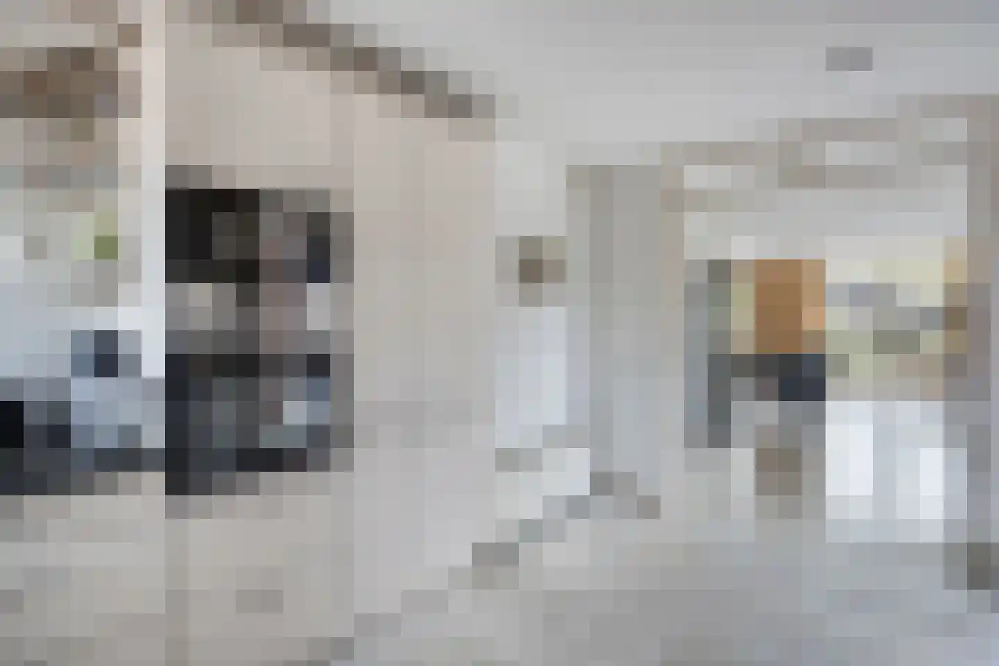 Floraronde 9 Uitgeest thumbnail 24