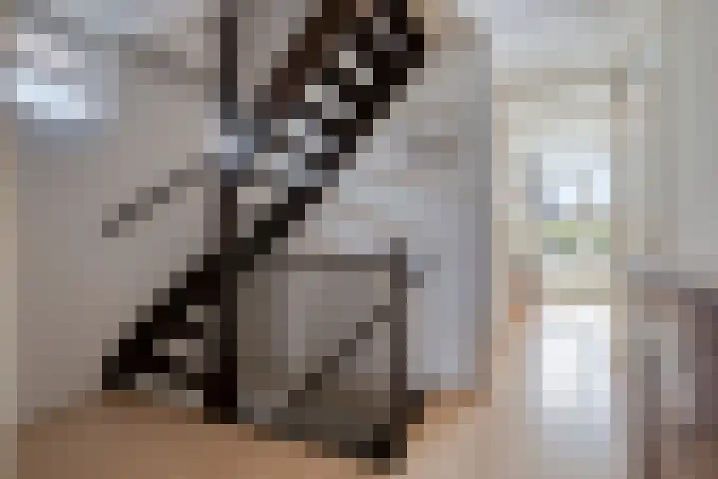 Floraronde 9 Uitgeest thumbnail 26