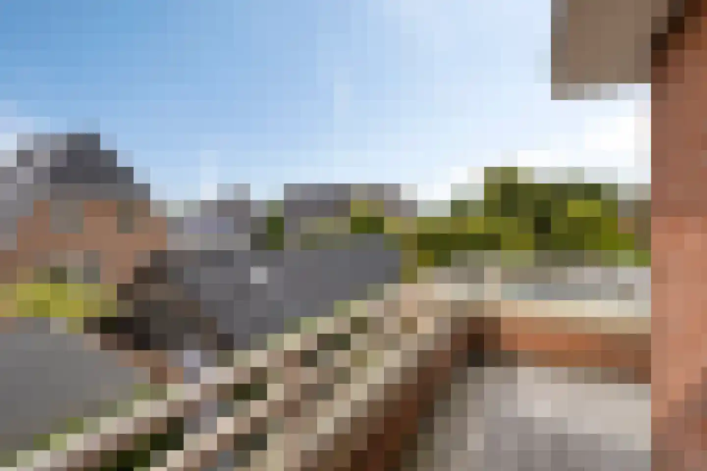 Floraronde 9 Uitgeest thumbnail 31
