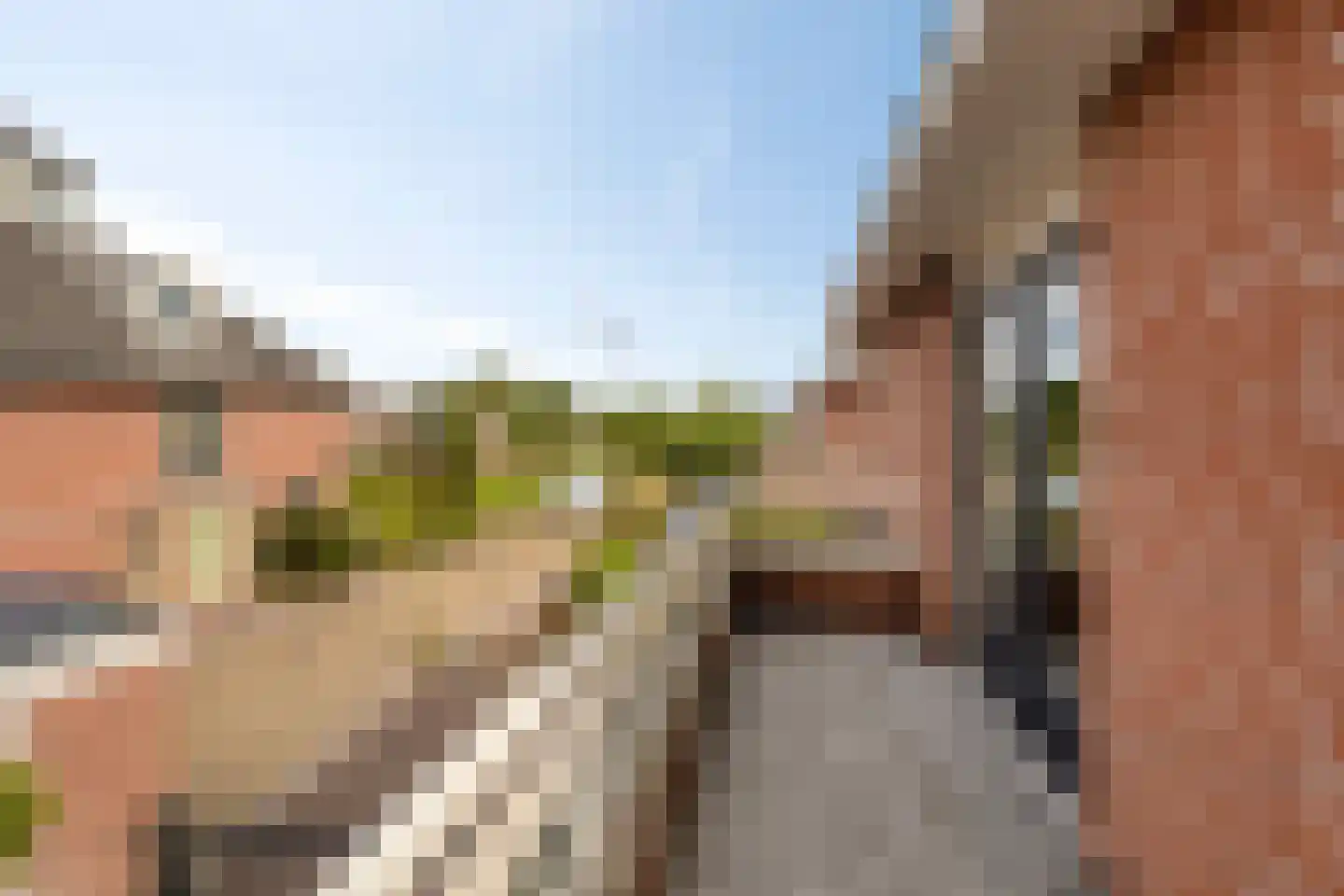 Floraronde 9 Uitgeest thumbnail 37