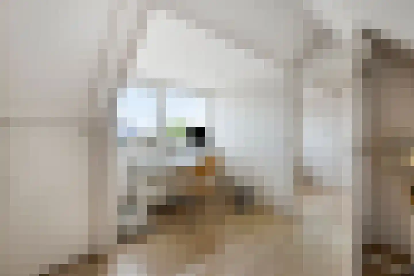 Floraronde 9 Uitgeest thumbnail 42