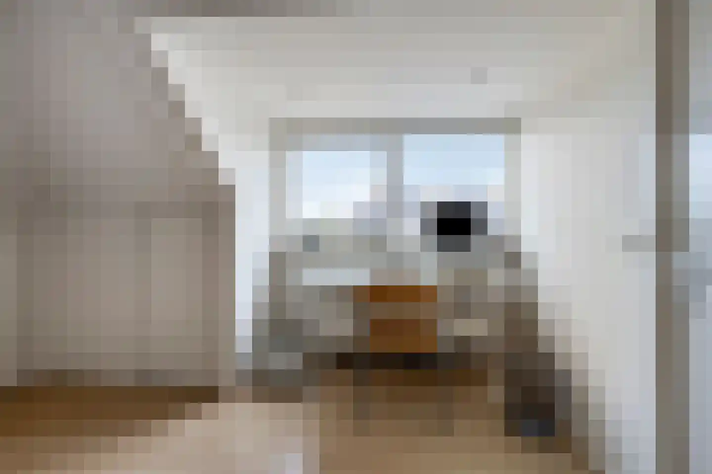 Floraronde 9 Uitgeest thumbnail 43