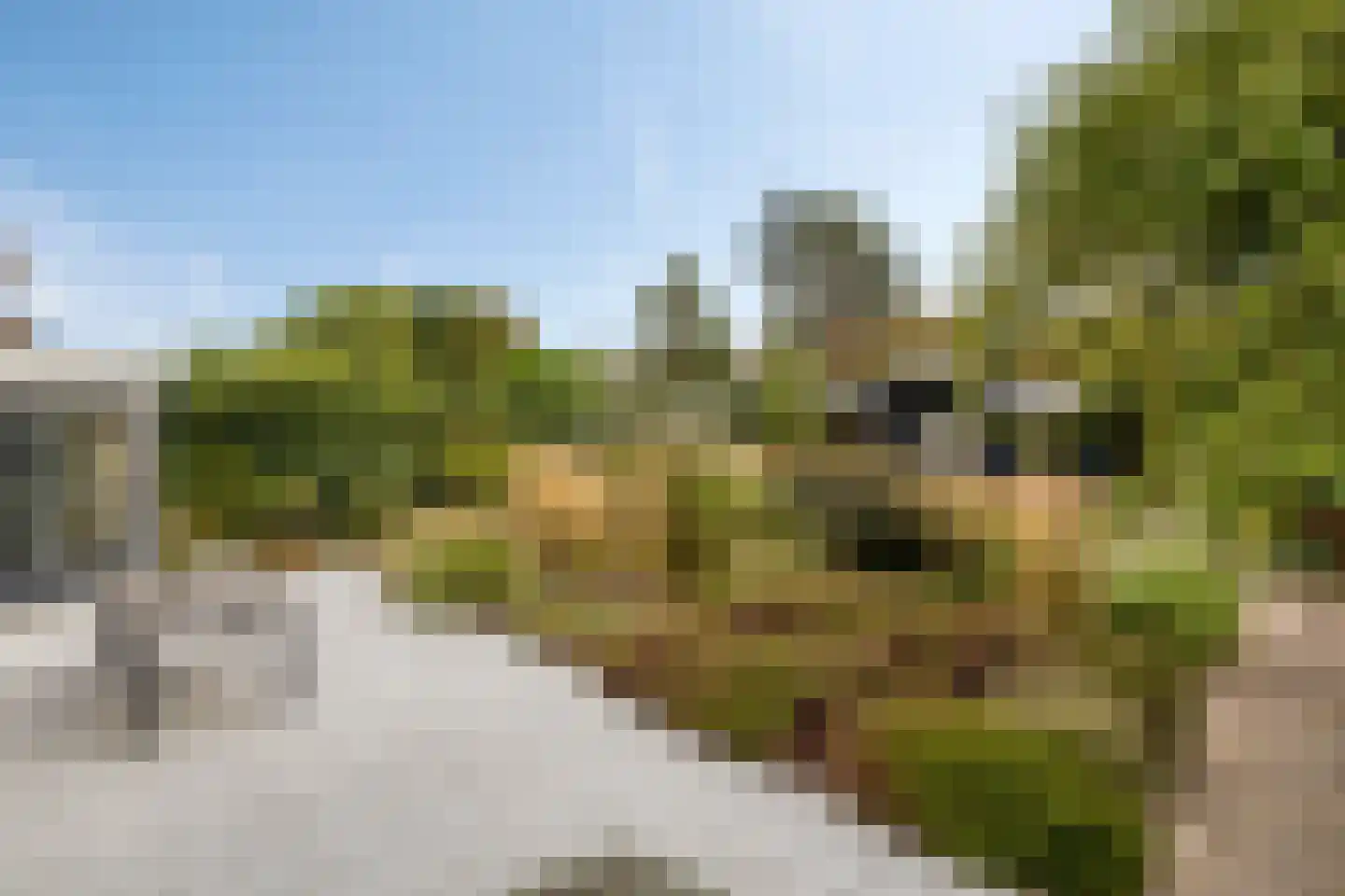 Floraronde 9 Uitgeest thumbnail 48